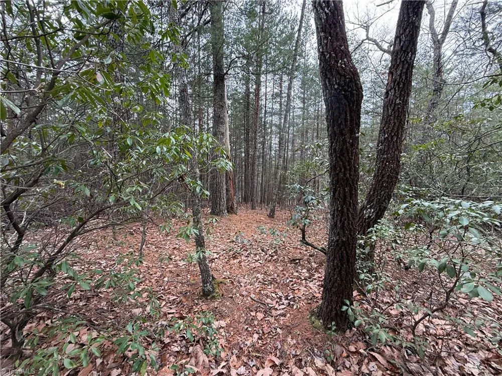 Lot 82 Deer Antler Drive Purlear, NC 28665
