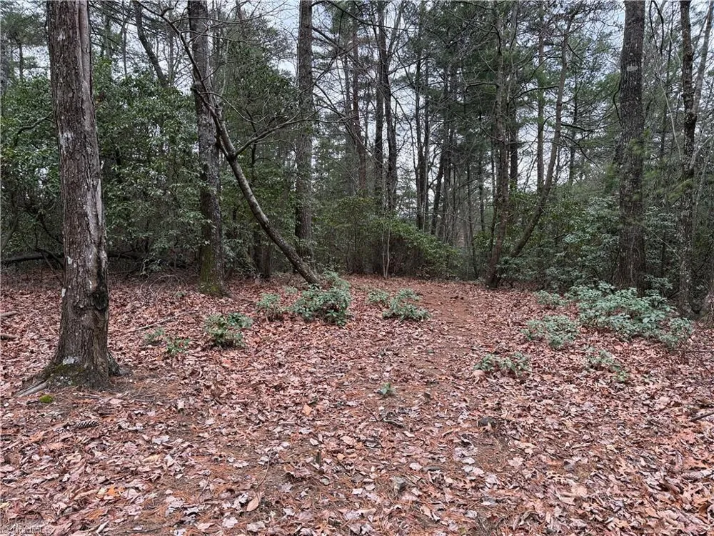 Lot 82 Deer Antler Drive Purlear, NC 28665