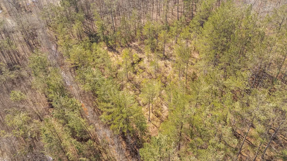 0 MULBERRY AVE Selmer, TN 38375