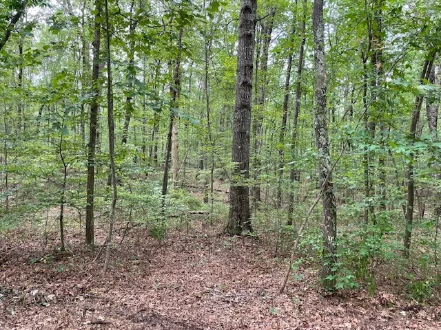 0 Shadow Rock Dr Monteagle, TN 37356