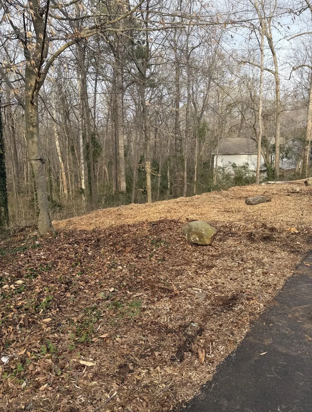 55 Cathy Lane Hiram, GA 30141