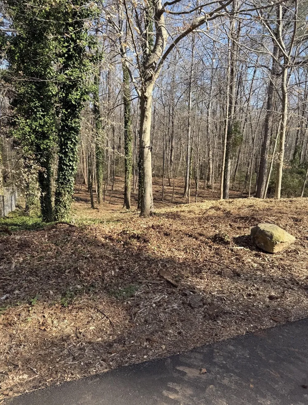 55 Cathy Lane Hiram, GA 30141