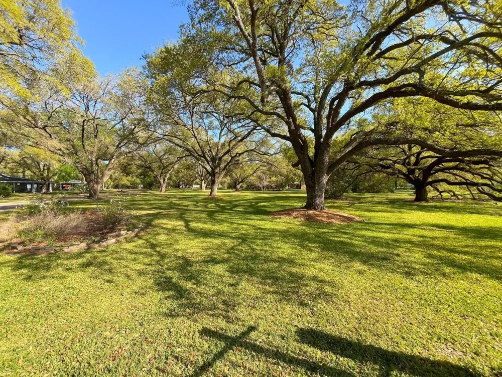 6430 Katy Hockley Road Katy, TX 77493