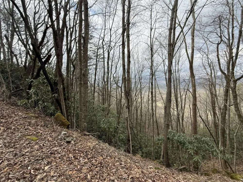 LOT416 Screamer Drive Clayton, GA 30525