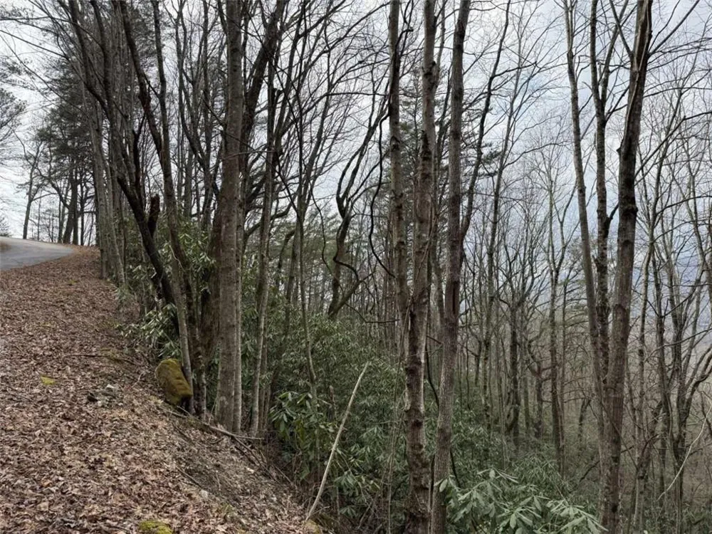 LOT416 Screamer Drive Clayton, GA 30525