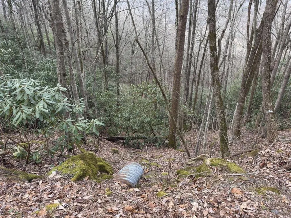 LOT416 Screamer Drive Clayton, GA 30525
