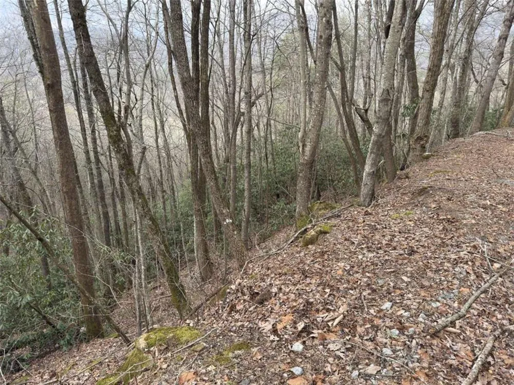 LOT416 Screamer Drive Clayton, GA 30525