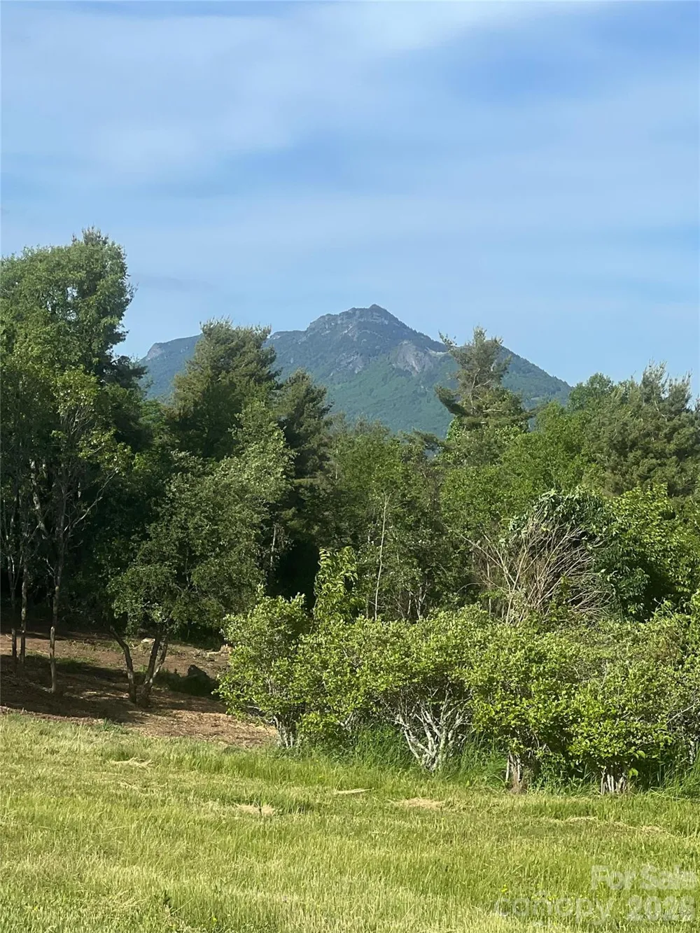 TBD Crestwood Circle #39 Linville, NC 28646