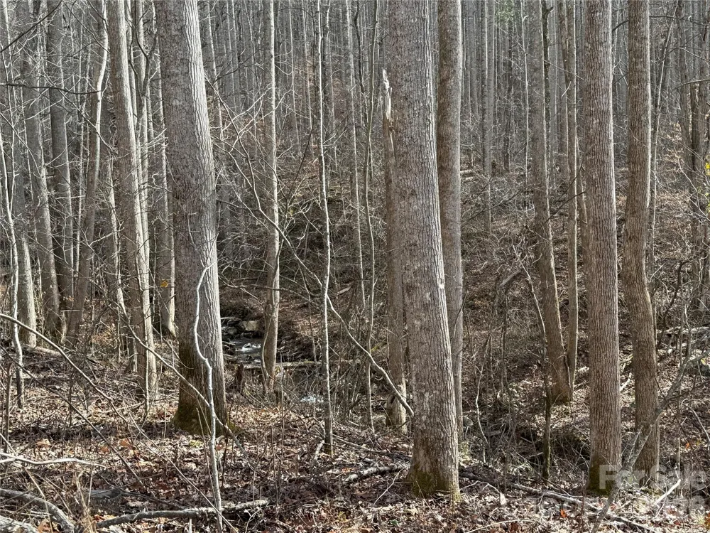 00000 Martins Creek Road Barnardsville, NC 28709
