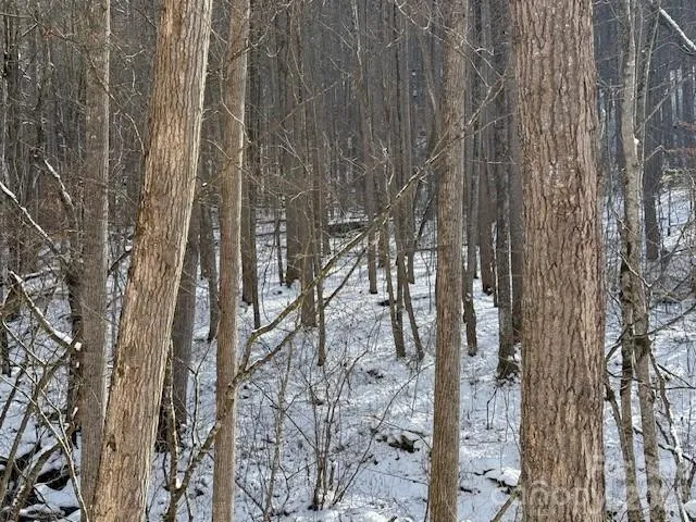 00000 Martins Creek Road Barnardsville, NC 28709