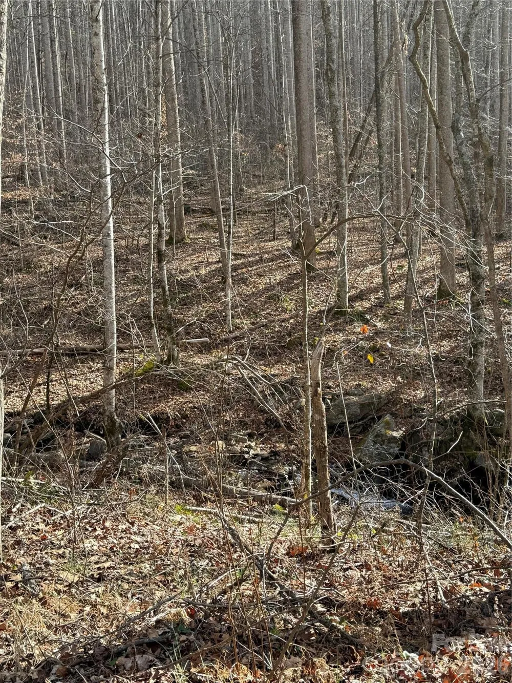 00000 Martins Creek Road Barnardsville, NC 28709