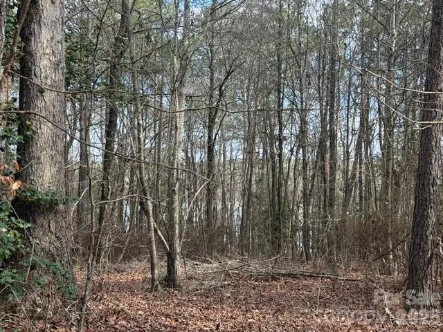 Lot 18 Sanctuary Lane Lilesville, NC 28091