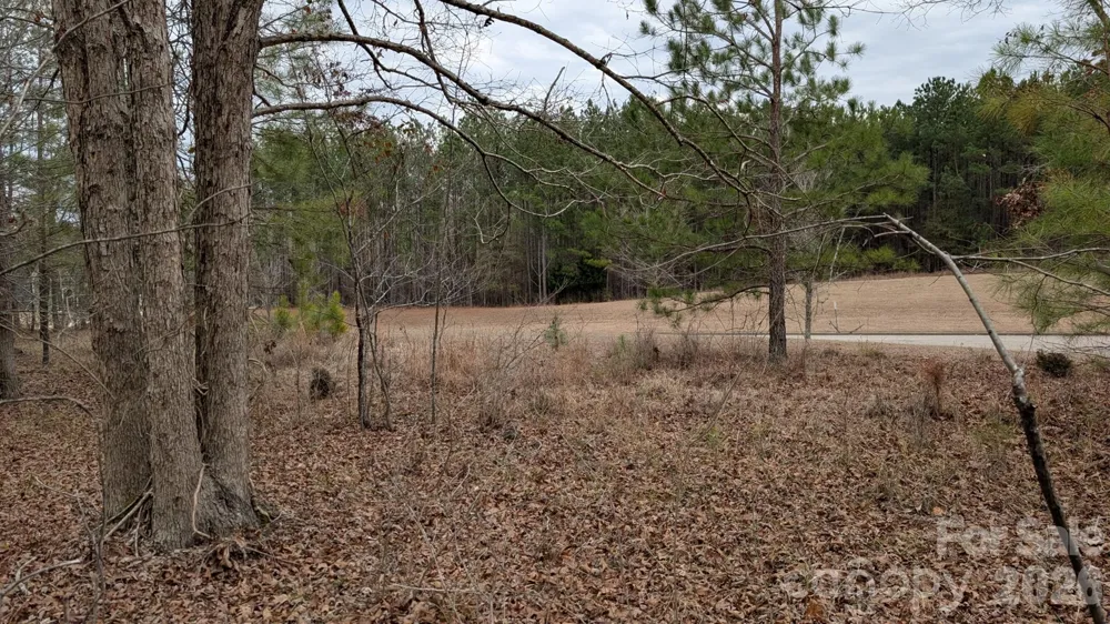 TBD Retreat Way #3 Ridgeway, SC 29130