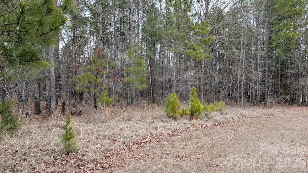 TBD Retreat Way #3 Ridgeway, SC 29130