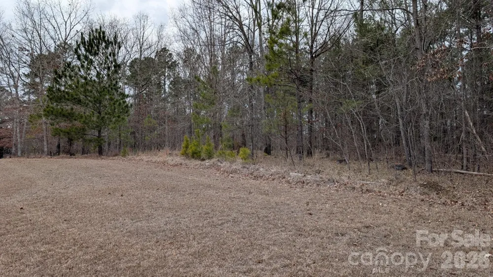 TBD Retreat Way #3 Ridgeway, SC 29130