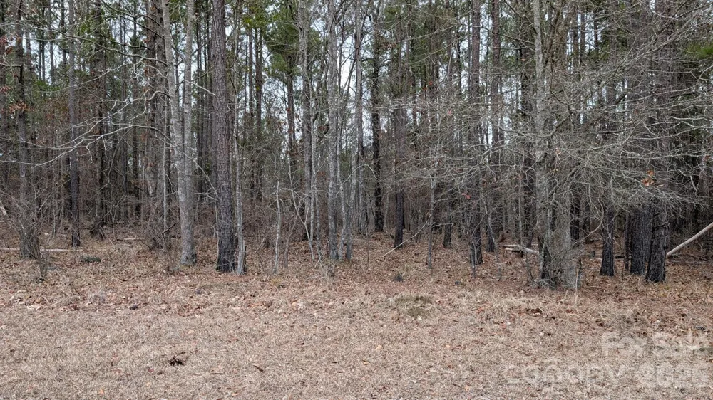 TBD Retreat Way #3 Ridgeway, SC 29130