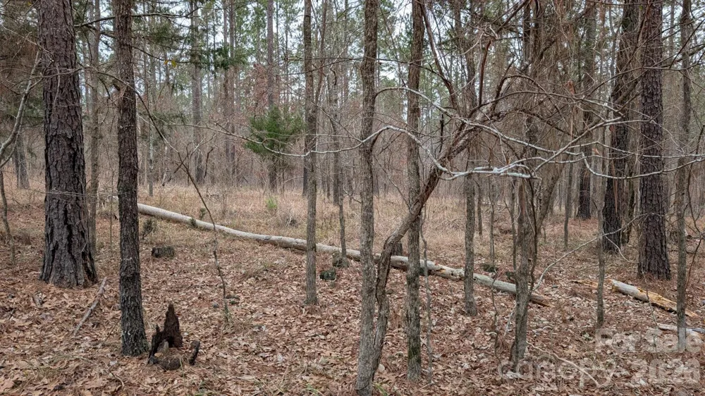 TBD Retreat Way #3 Ridgeway, SC 29130