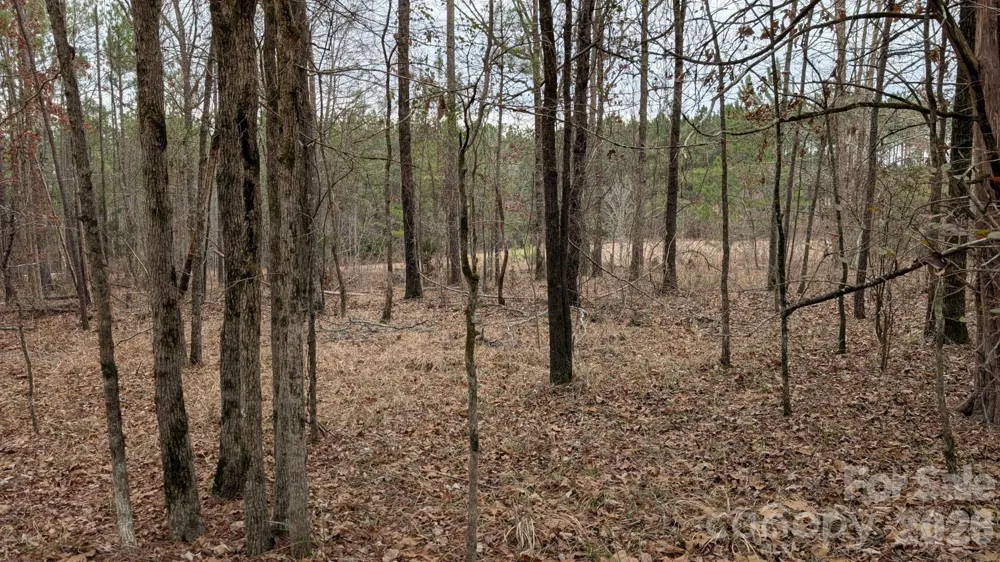 TBD Retreat Way #3 Ridgeway, SC 29130