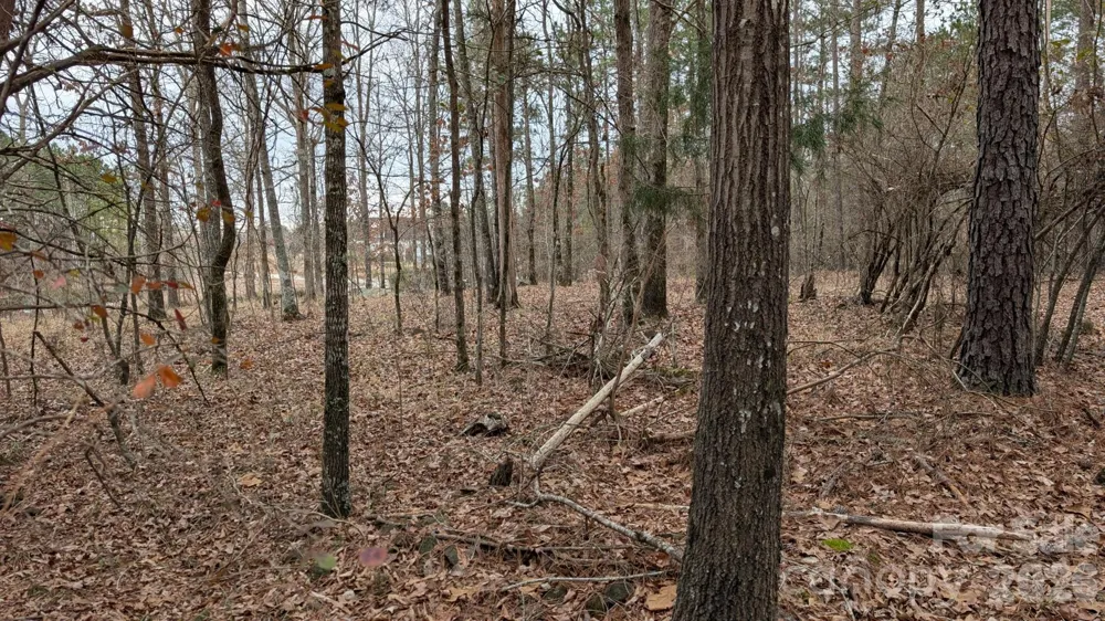 TBD Retreat Way #3 Ridgeway, SC 29130