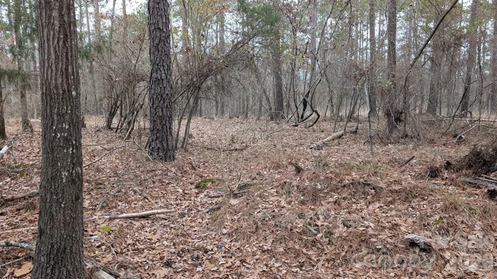 TBD Retreat Way #3 Ridgeway, SC 29130