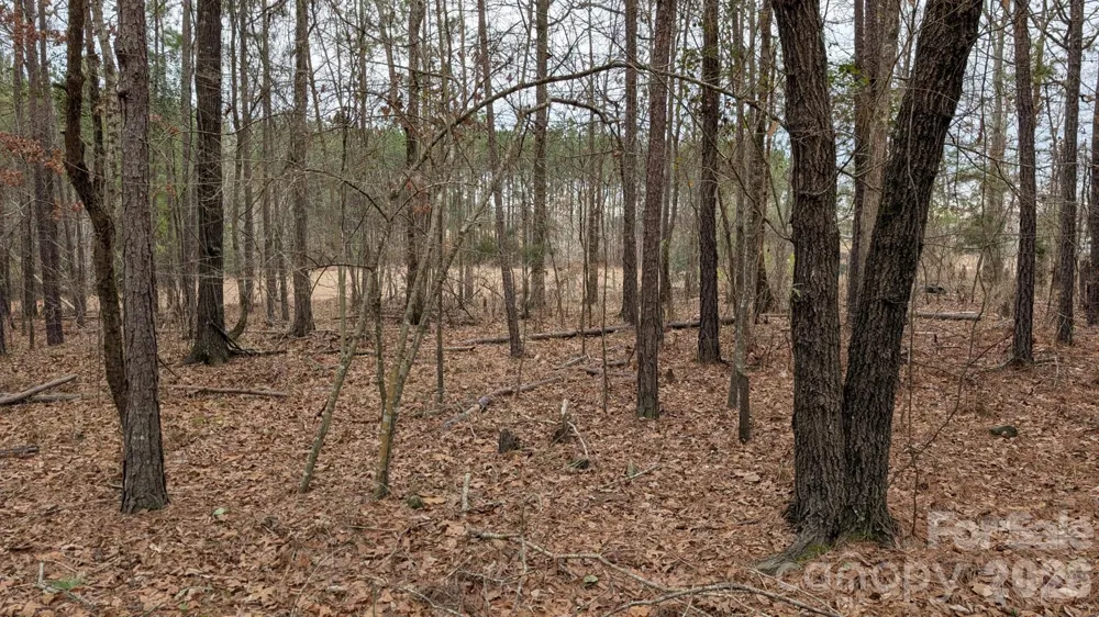 TBD Retreat Way #3 Ridgeway, SC 29130