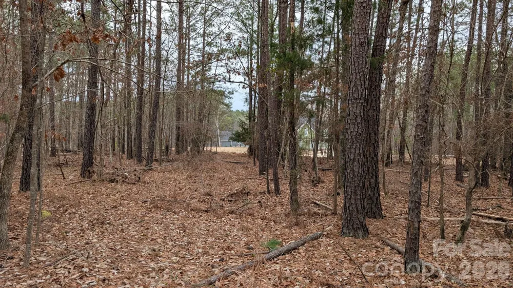 TBD Retreat Way #3 Ridgeway, SC 29130