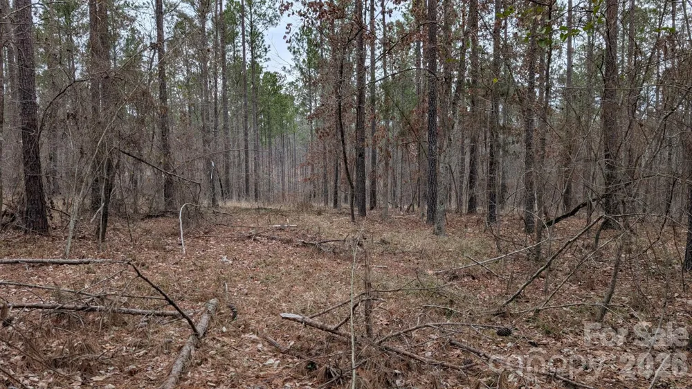 TBD Retreat Way #3 Ridgeway, SC 29130