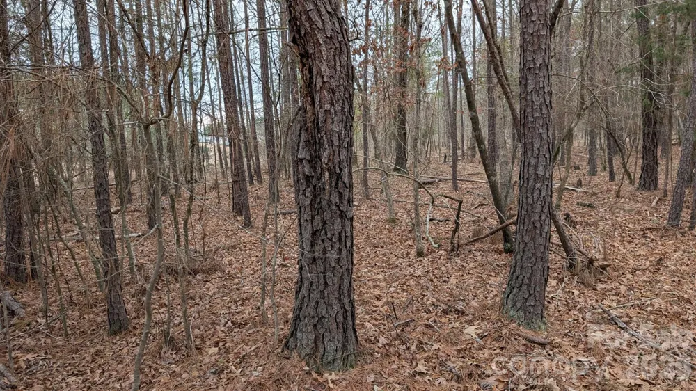 TBD Retreat Way #3 Ridgeway, SC 29130