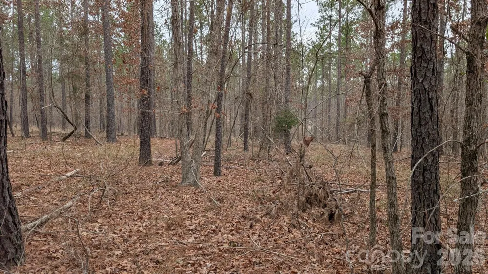 TBD Retreat Way #3 Ridgeway, SC 29130