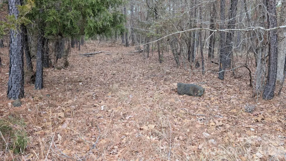 TBD Retreat Way #3 Ridgeway, SC 29130