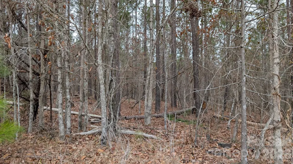 TBD Retreat Way #3 Ridgeway, SC 29130
