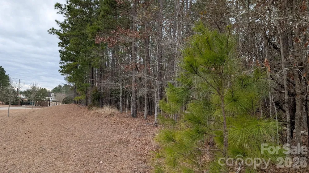 TBD Retreat Way #3 Ridgeway, SC 29130