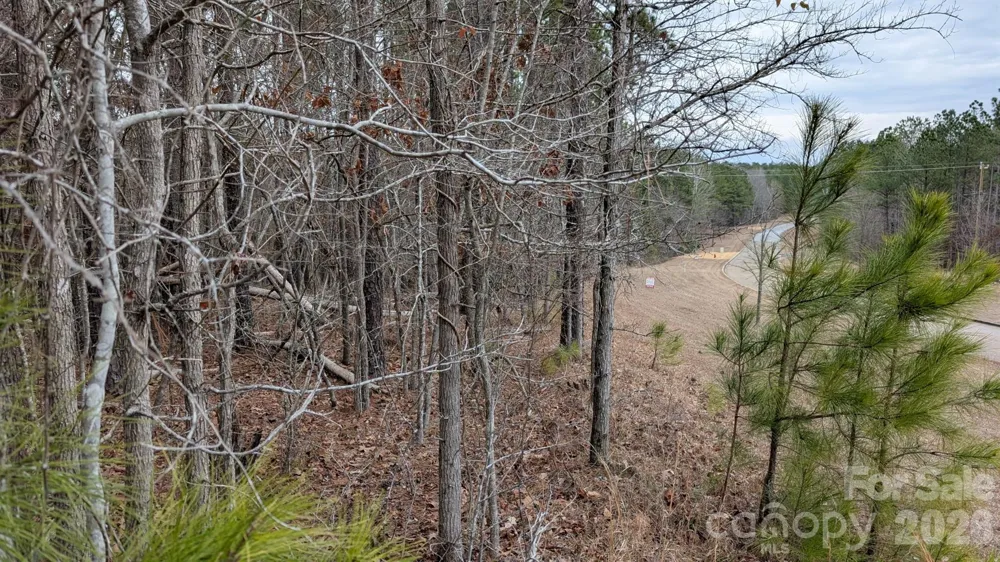 TBD Retreat Way #3 Ridgeway, SC 29130