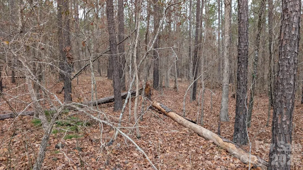 TBD Retreat Way #3 Ridgeway, SC 29130