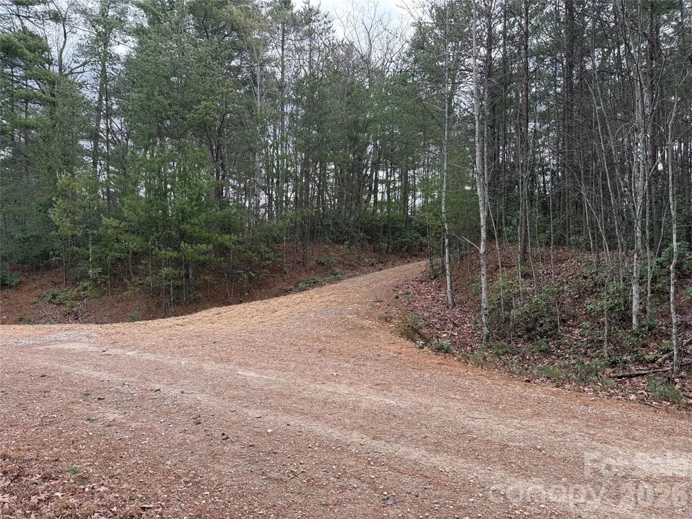 TBD Deer Antler Drive #82 Purlear, NC 28665