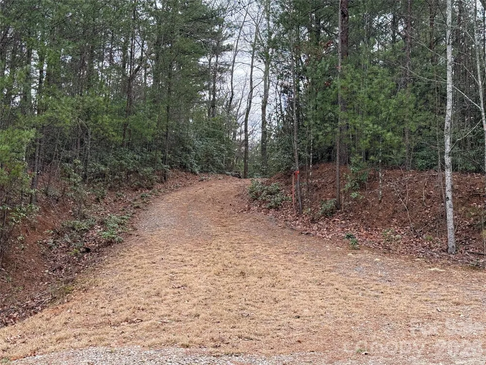 TBD Deer Antler Drive #82 Purlear, NC 28665