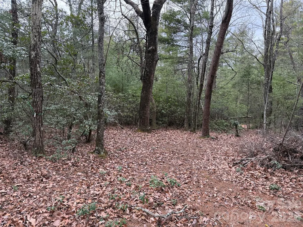 TBD Deer Antler Drive #82 Purlear, NC 28665