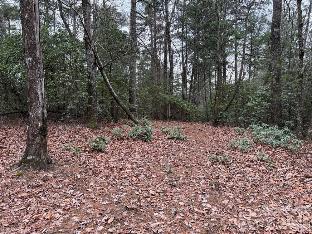 TBD Deer Antler Drive #82 Purlear, NC 28665