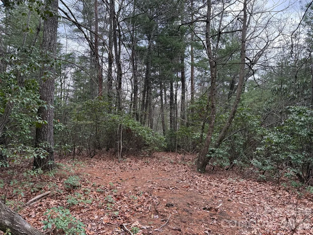 TBD Deer Antler Drive #82 Purlear, NC 28665