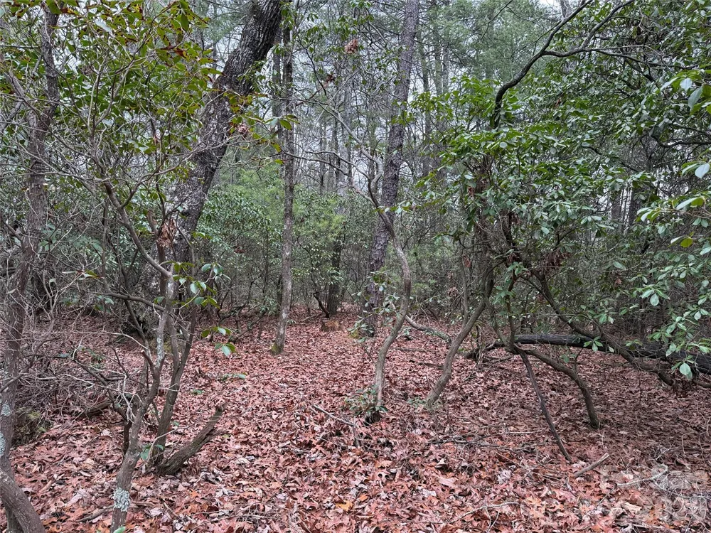 TBD Deer Antler Drive #82 Purlear, NC 28665