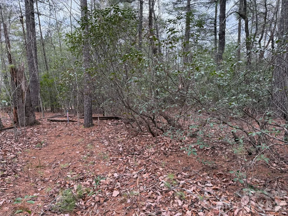 TBD Deer Antler Drive #82 Purlear, NC 28665
