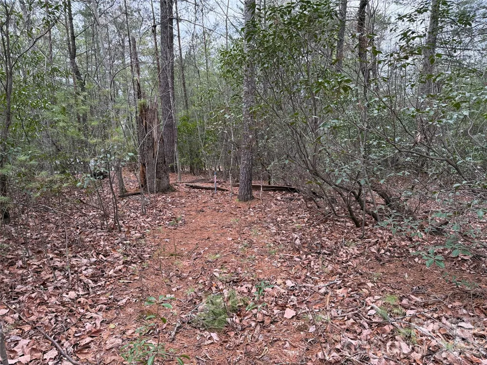 TBD Deer Antler Drive #82 Purlear, NC 28665