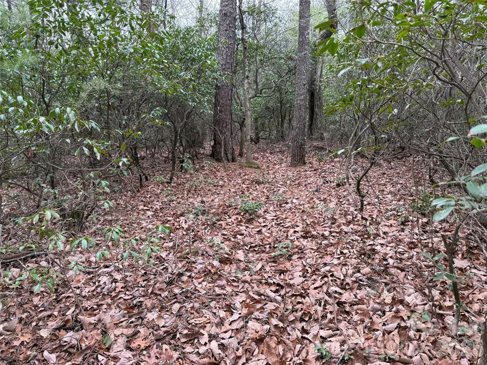 TBD Deer Antler Drive #82 Purlear, NC 28665