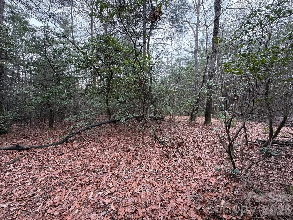 TBD Deer Antler Drive #82 Purlear, NC 28665