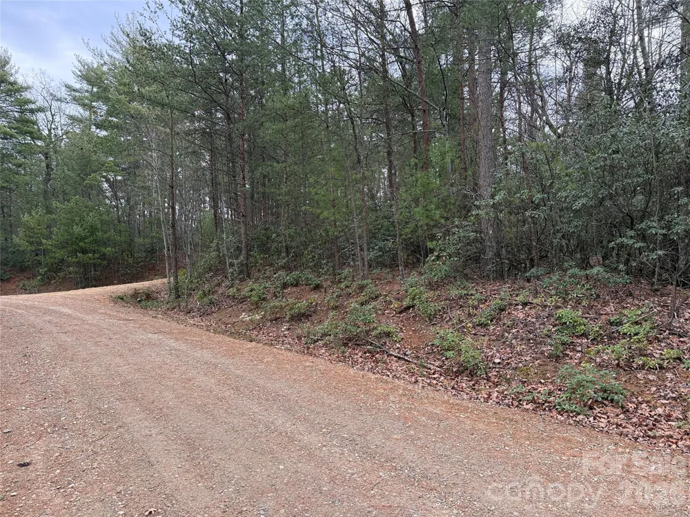 TBD Deer Antler Drive #82 Purlear, NC 28665