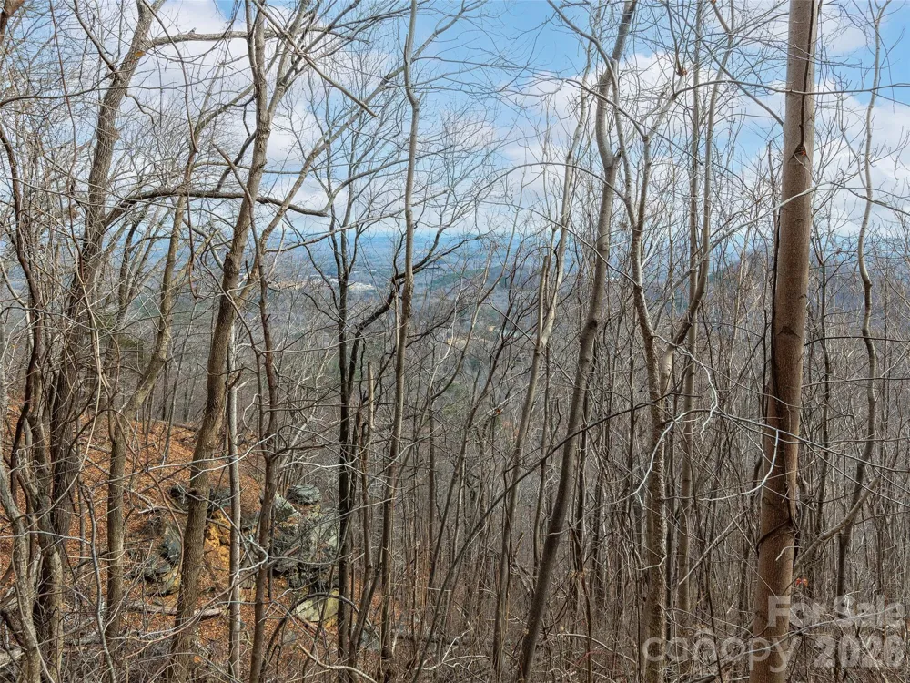 Lot 56 White Oak Mountain Road #56 Columbus, NC 28722