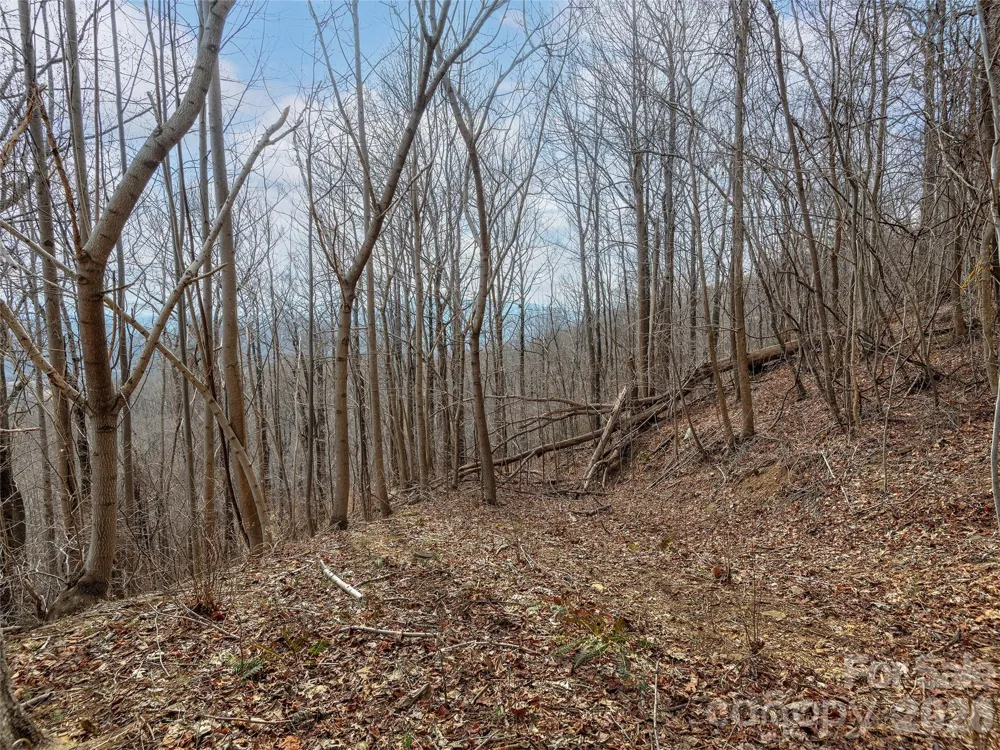 Lot 56 White Oak Mountain Road #56 Columbus, NC 28722