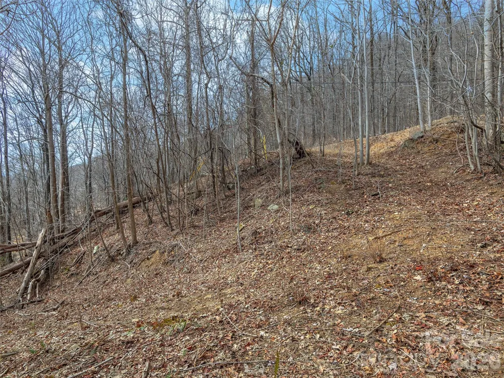 Lot 56 White Oak Mountain Road #56 Columbus, NC 28722