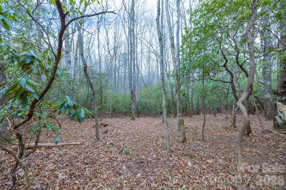 Tract 1 Turtle Ridge Trail Mills River, NC 28759