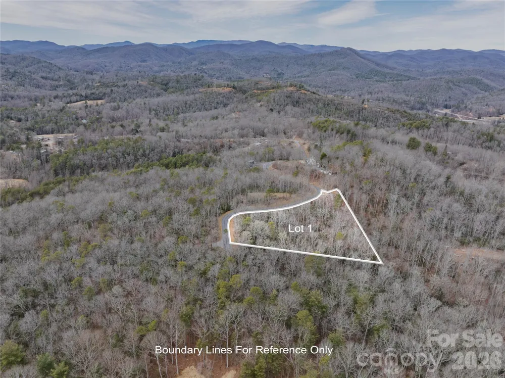 Tract 1 Turtle Ridge Trail Mills River, NC 28759